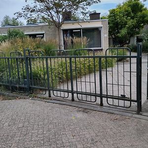 Huis bij de Catalpa